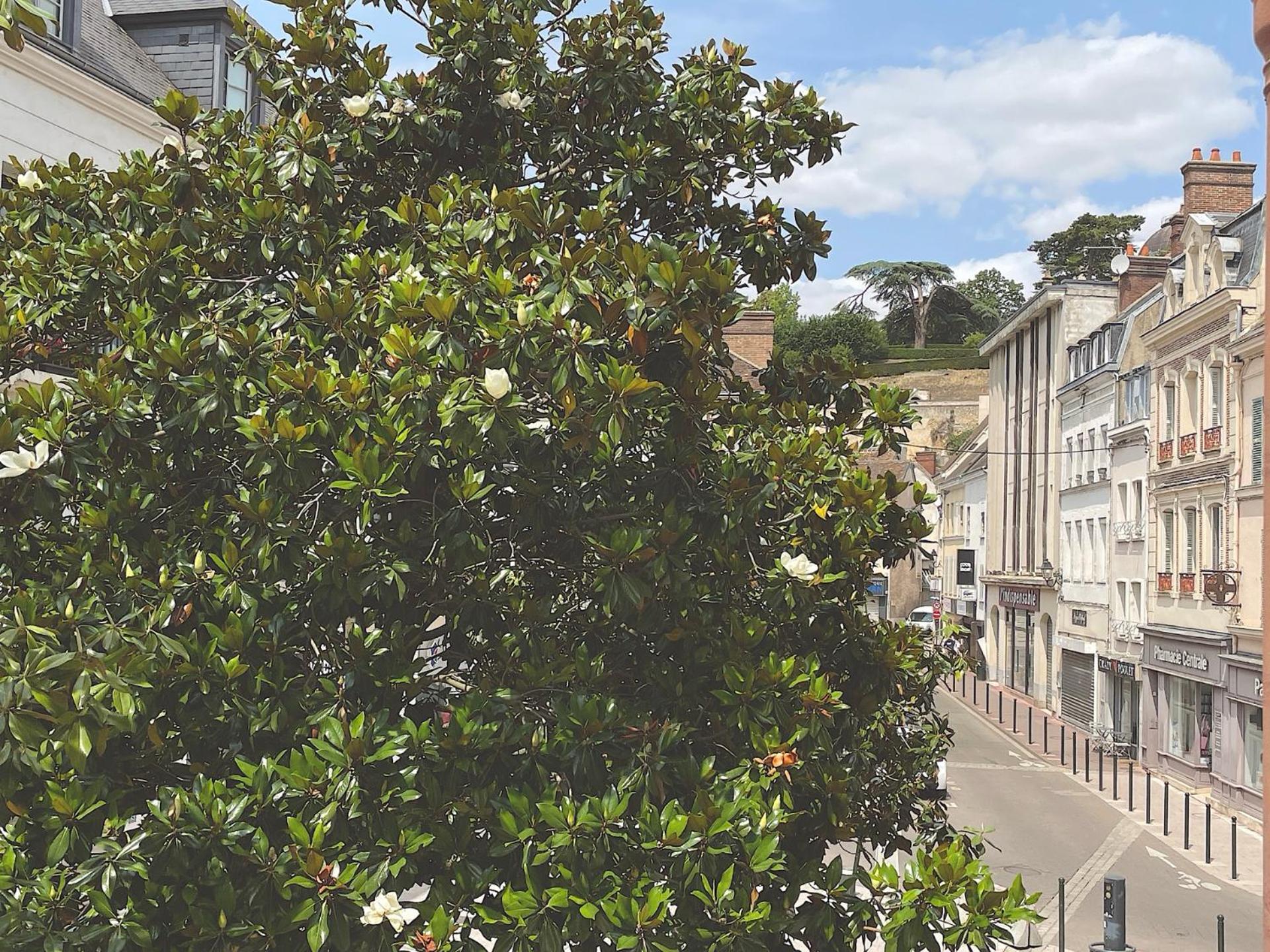 De Charme Sous Les Toits #6 Apartment *